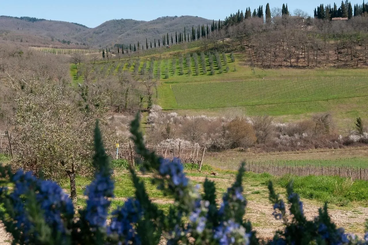Appartement Rifugio Sulla Via Di Volpaia à Radda in Chianti